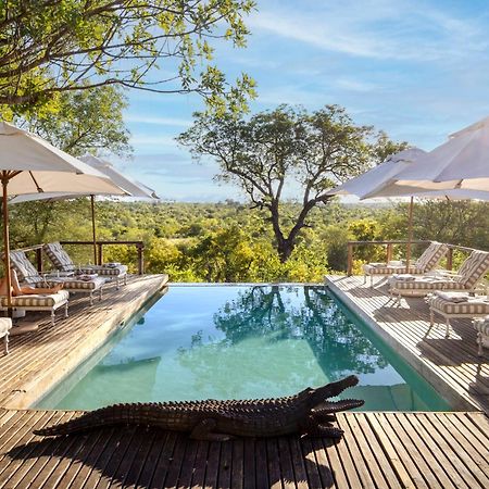 Simbavati Hilltop Lodge Timbavati Game Reserve Esterno foto