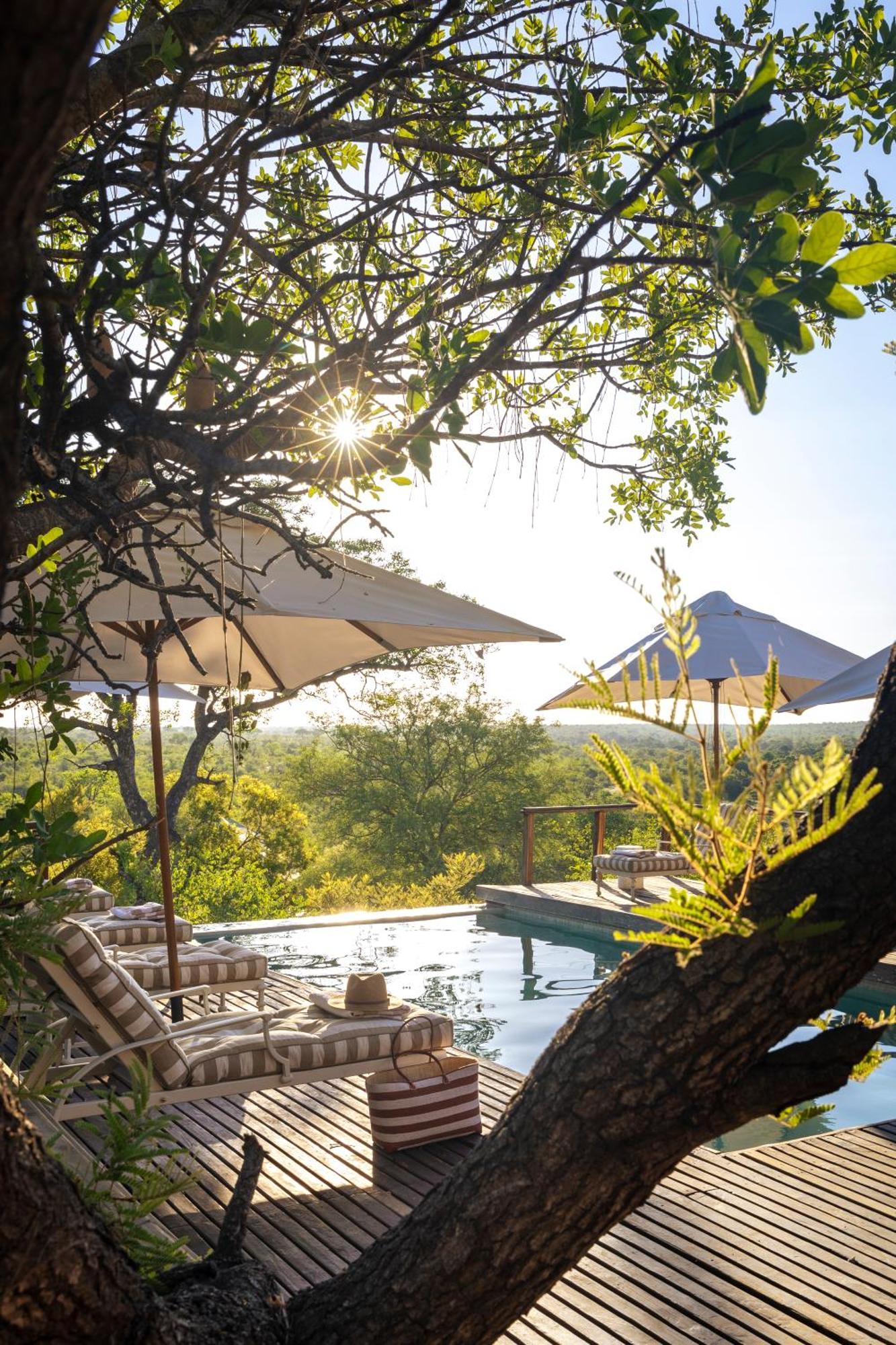 Simbavati Hilltop Lodge Timbavati Game Reserve Esterno foto