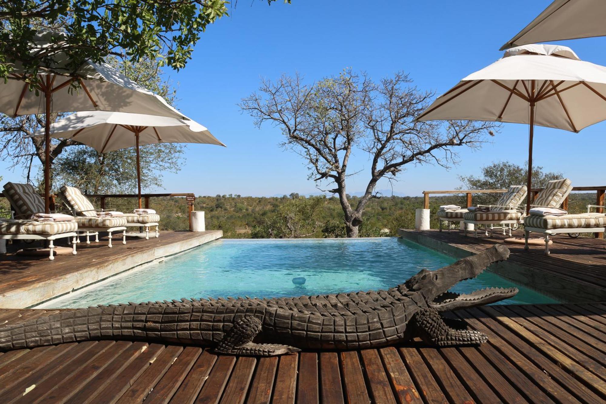 Simbavati Hilltop Lodge Timbavati Game Reserve Esterno foto