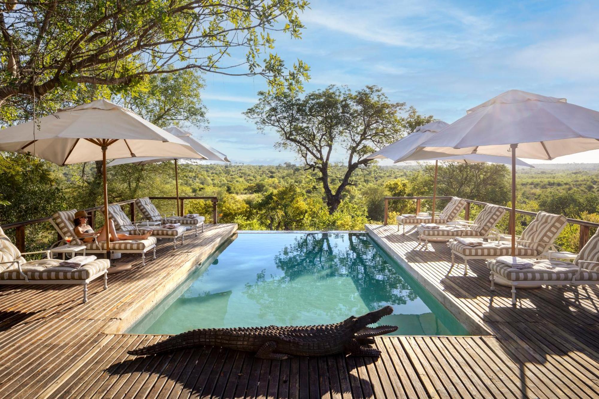 Simbavati Hilltop Lodge Timbavati Game Reserve Esterno foto