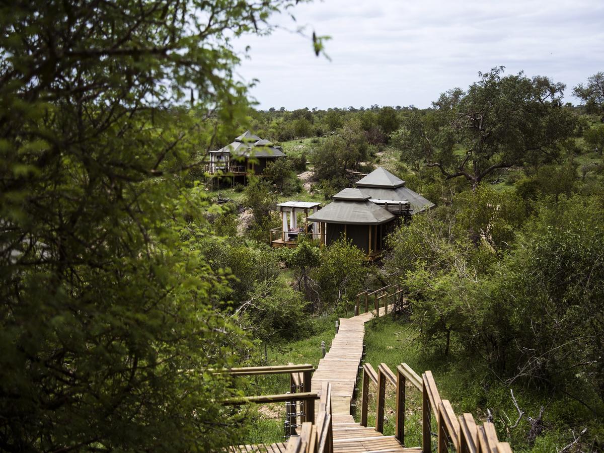 Simbavati Hilltop Lodge Timbavati Game Reserve Esterno foto