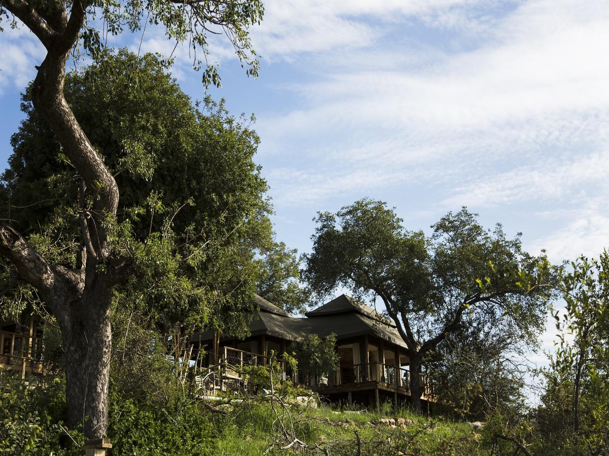 Simbavati Hilltop Lodge Timbavati Game Reserve Esterno foto