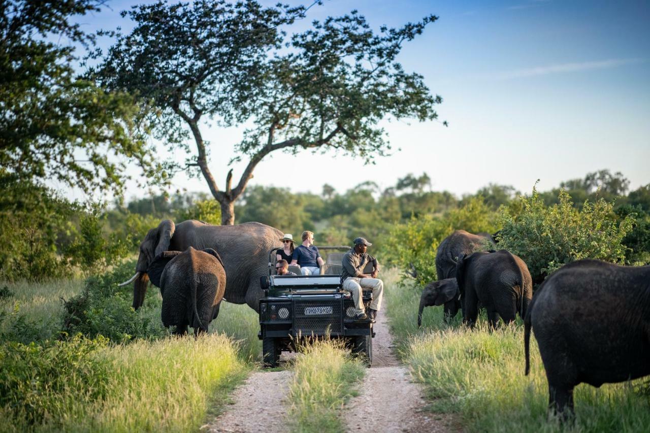 Simbavati Hilltop Lodge Timbavati Game Reserve Esterno foto
