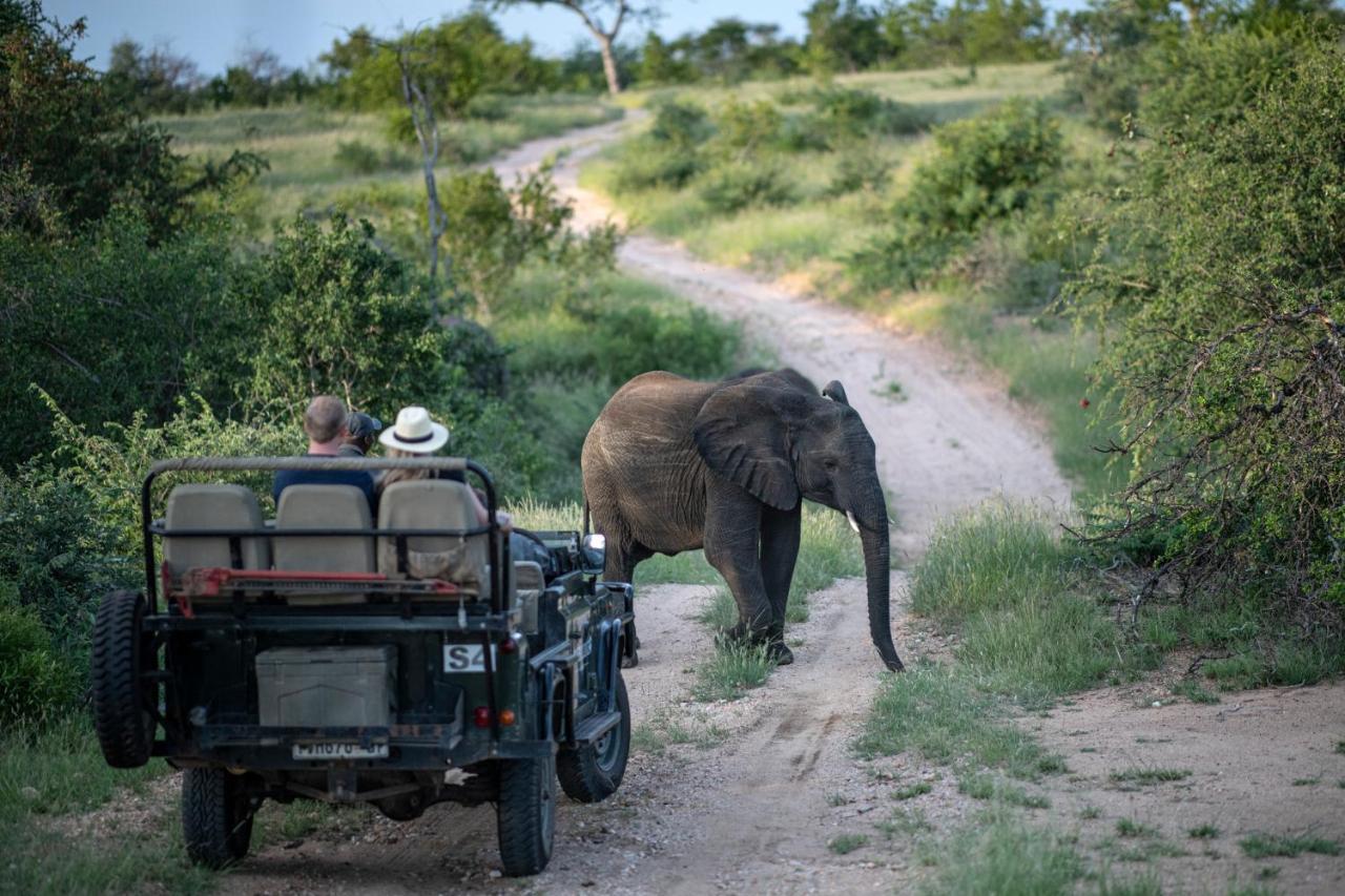 Simbavati Hilltop Lodge Timbavati Game Reserve Esterno foto